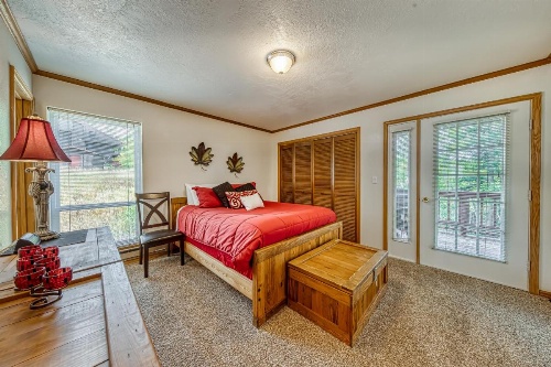 Pinetree C3 image 10