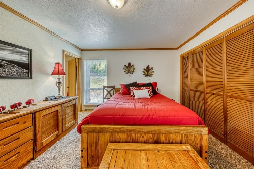 Pinetree C3 image 15